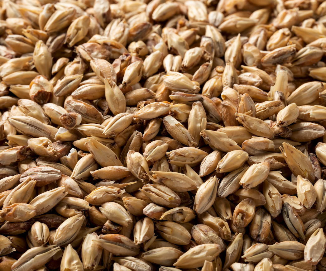 Briess Ashburne Mild Malt - 50 lb. Bag