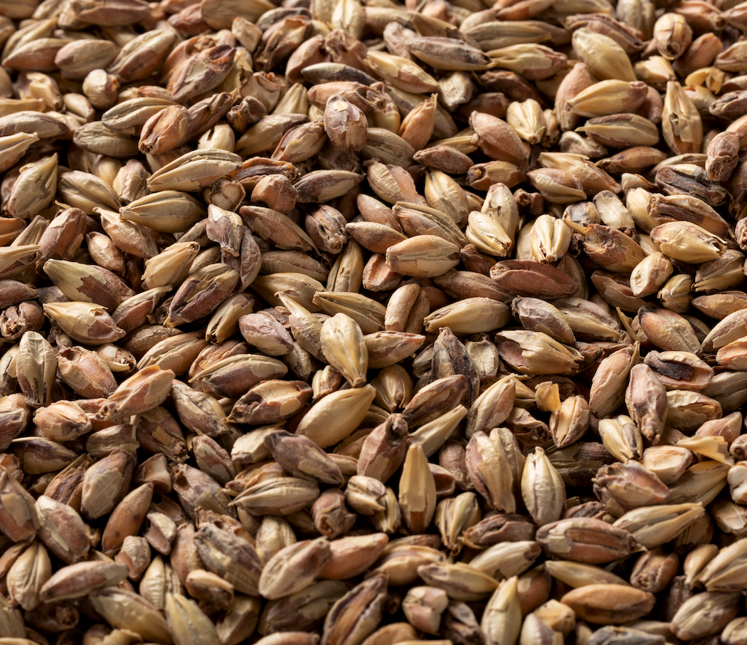 Briess Victory Malt - 50 lb. Bag
