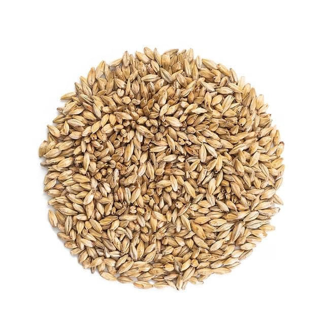 Malteurop Munich Malt (8L) - 55 lb. Bag