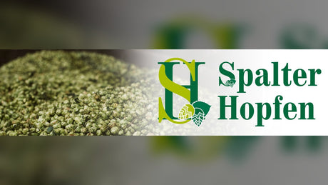 Spalter Hopfen at Pro Brew Supply