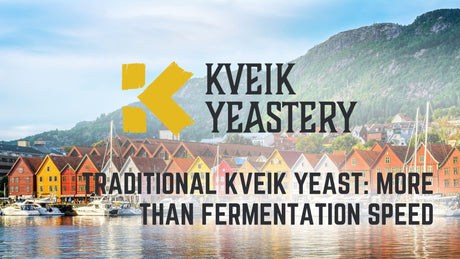Traditional Kveik Yeast: More Than Fermentation Speed