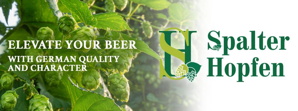 Spalter Hopfen