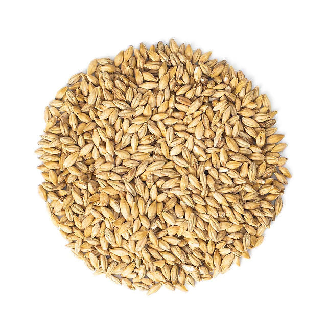 Malteurop Bavarian Pilsen Malt - 55 lb. Bag