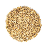 Malteurop Bavarian Pilsen Malt - 55 lb. Bag