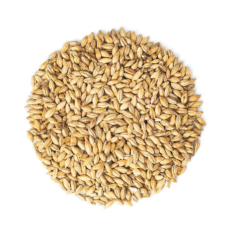 Malteurop Bavarian Pilsen Malt - 55 lb. Bag