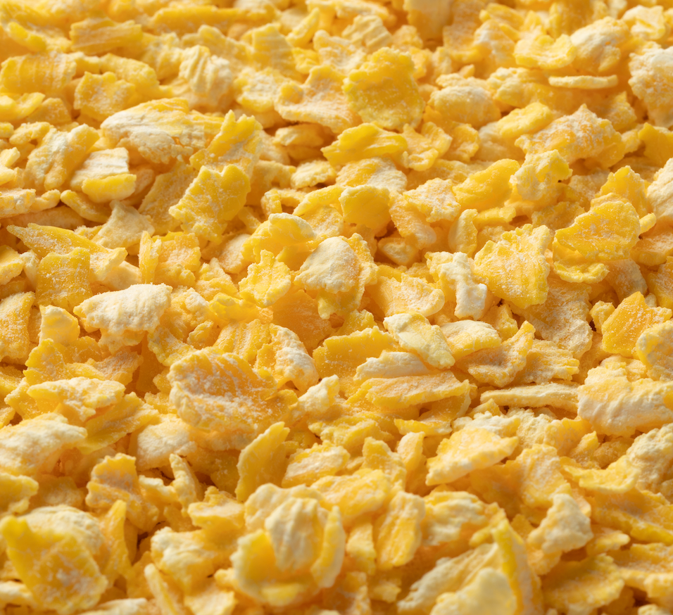 Briess Flaked Corn - 50 lb. Sack