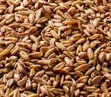 Briess Blonde Roast Oat Malt - 50 lb. Bag