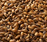 Briess Caramel 120L - 50 lb. Bag
