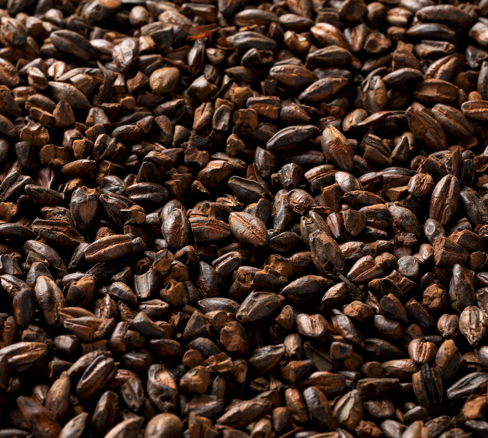 Briess Chocolate Malt - 50 lb. Bag