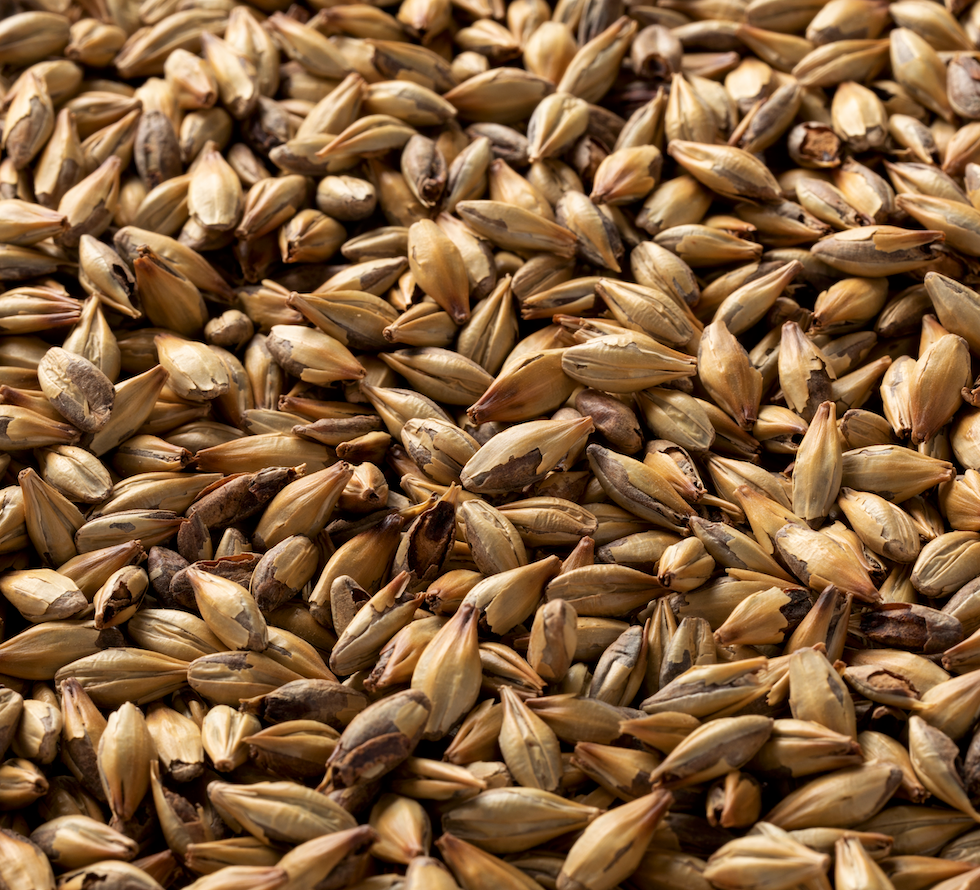 Briess Extra Special Malt - 50 lb. Bag