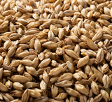 Briess Goldpils Vienna - 50 lb. Bag