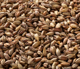 Briess Victory Malt - 50 lb. Bag