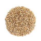Malteurop Munich Malt (8L) - 55 lb. Bag