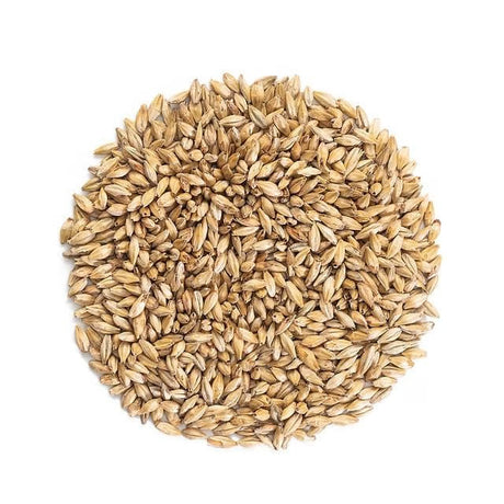 Malteurop Munich Malt (8L) - 55 lb. Bag