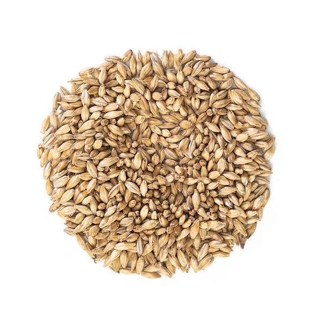 Malteurop Pilsen Malt- 55 lb. Bag