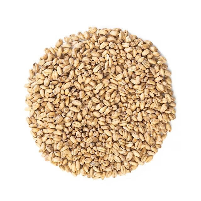 Malteurop Wheat Tote - 2200 lbs