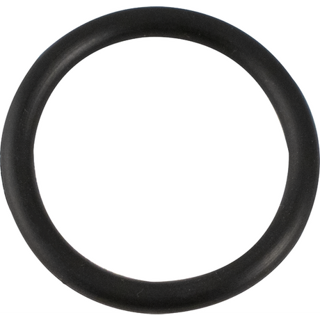 Replacement Internal O-Ring for Barrel Transfer Tool - Bulldog