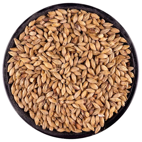IREKS Munich Malt - 55 lb. Bag