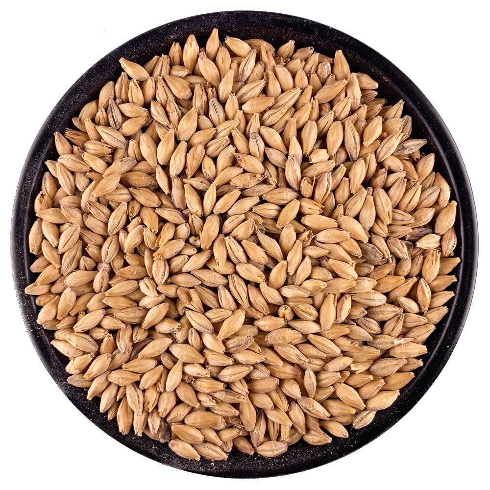 IREKS Pilsen Malt - 55 lb. Bag