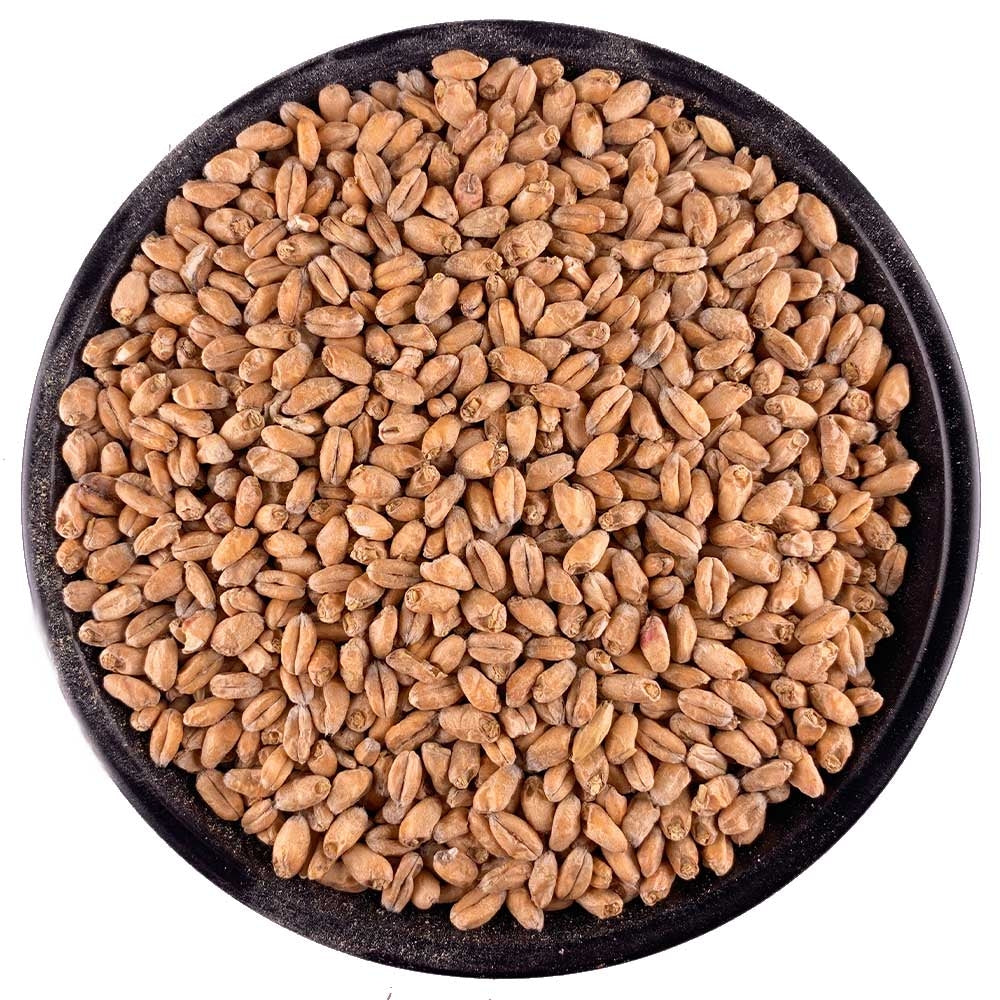IREKS White Wheat Malt - 55 lb. Bag