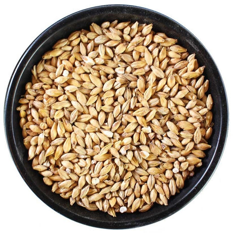 IREKS Sour Malt (Acidulated) - 55 lb. Bag